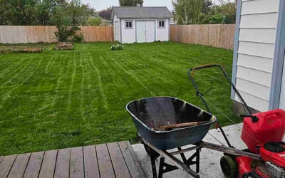 Photo of Carmen H.'s yard after getting lawn care in Kannapolis, NC