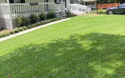 Photo of Mario G.'s yard after getting lawn care in Stoughton, MA