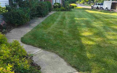 Photo of Linda T.'s yard after getting lawn care in Orange, CA