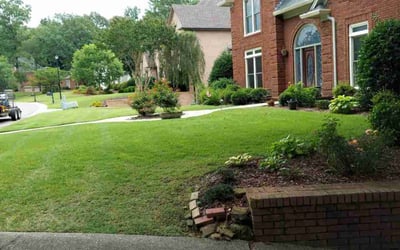 Photo of Edward C.'s yard after getting lawn care in Oneonta, AL