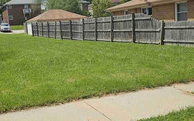 Photo of Maria K.'s yard after getting lawn care in Cudahy, WI