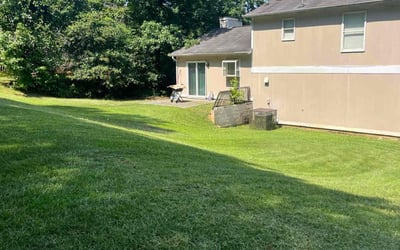 Photo of Tracy B.'s yard after getting lawn care in Snellville, GA