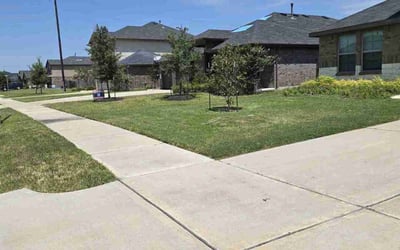 Photo of Ian F.'s yard after getting lawn care in Freeport, TX