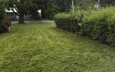 Photo of Ryan L.'s yard after getting lawn care in Marlborough, MA