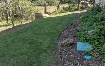 Photo of Margaret F.'s yard after getting lawn care in Colorado Springs, CO