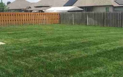 Photo of Jamarlon B.'s yard after getting lawn care in Bolivar, MO