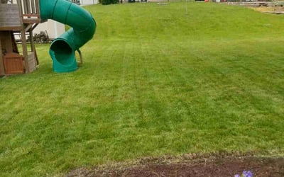 Photo of Brenda E.'s yard after getting lawn care in Germantown, WI