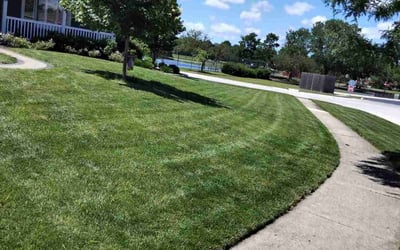 Photo of Cassaundra R.'s yard after getting lawn care in Elk Grove Village, IL