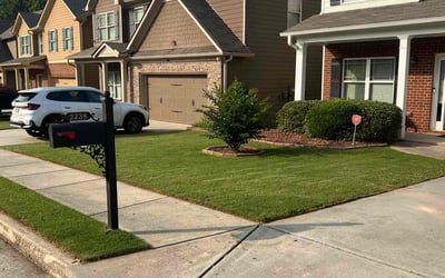 Photo of Holly K.'s yard after getting lawn care in Rockford, MI