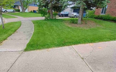 Photo of Raechel W.'s yard after getting lawn care in Goldsboro, NC