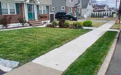 Photo of Robert P.'s yard after getting lawn care in Elmwood Park, NJ