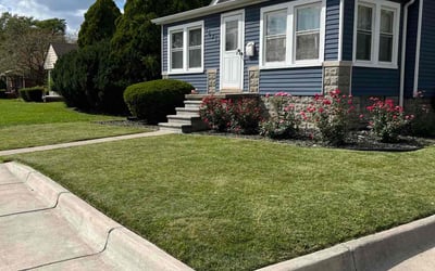 Photo of Dazhane M.'s yard after getting lawn care in Eastpointe, MI