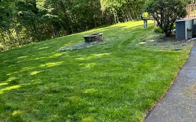 Photo of Jennifer H.'s yard after getting lawn care in Woodstock, IL