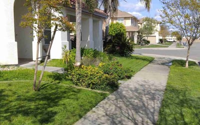 Photo of Larry K.'s yard after getting lawn care in Oakdale, CA