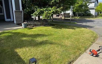 Photo of Jasmin B.'s yard after getting lawn care in Bedford Heights, OH