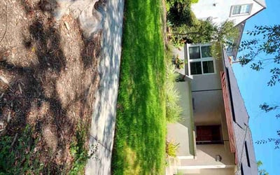 Photo of Eliza L.'s yard after getting lawn care in Pasadena, CA
