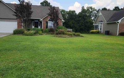 Photo of Nikolette G.'s yard after getting lawn care in Ontario, CA