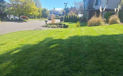 Photo of DMonica M.'s yard after getting lawn care in Bellevue, WA