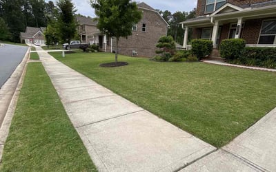 Photo of Aliesha B.'s yard after getting lawn care in Kennesaw, GA