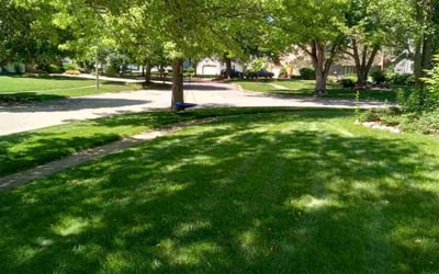Photo of Jacob C.'s yard after getting lawn care in Oswego, IL