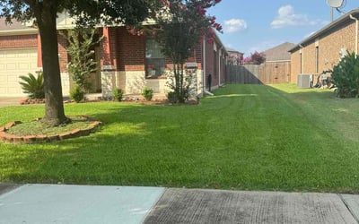 Photo of Nicole D.'s yard after getting lawn care in Richmond, CA