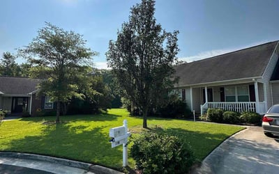 Photo of Michael M.'s yard after getting lawn care in New Bern, NC