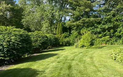 Photo of Callia J.'s yard after getting lawn care in Stoughton, MA