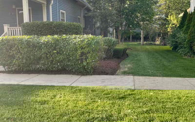 Photo of Shannai M.'s yard after getting lawn care in Dekalb, IL
