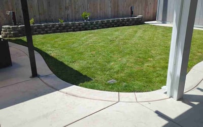 Photo of Marion G.'s yard after getting lawn care in Stockton, CA