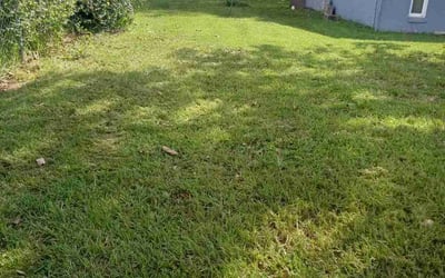 Photo of Todd G.'s yard after getting lawn care in Hightstown, NJ