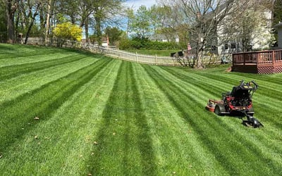 Photo of Shae C.'s yard after getting lawn care in Frederick, MD