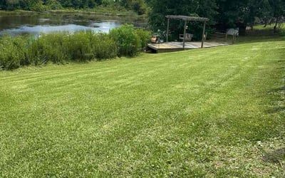 Photo of Kyle M.'s yard after getting lawn care in West Palm Beach, FL