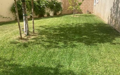 Photo of Keith M.'s yard after getting lawn care in Lake Elsinore, CA
