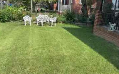 Photo of Amy A.'s yard after getting lawn care in Hyattsville, MD
