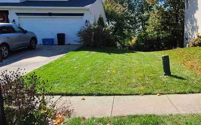 Photo of Samantha G.'s yard after getting lawn care in Westminster, MD