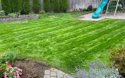 Photo of Khalil R.'s yard after getting lawn care in Bellevue, WA