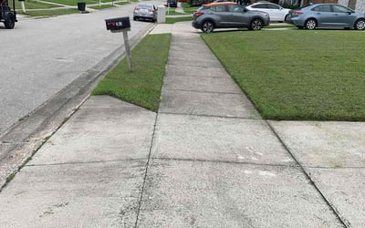 Photo of Lisa N.'s yard after getting lawn care in Ocean City, NJ