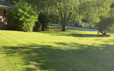 Photo of Marc S.'s yard after getting lawn care in Forest Park, GA