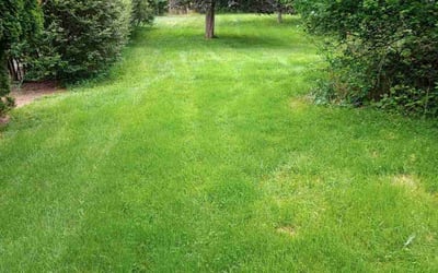 Photo of Donna D.'s yard after getting lawn care in Forest Hill, MD