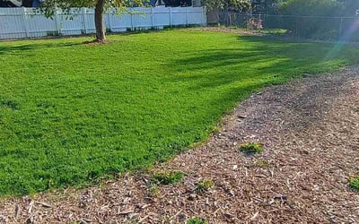Photo of Charis P.'s yard after getting lawn care in Mount Vernon, WA