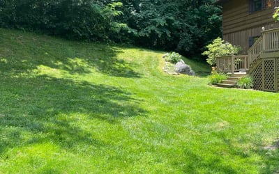 Photo of Jacquie C.'s yard after getting lawn care in Johnson City, TN