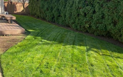 Photo of Julio A.'s yard after getting lawn care in Eugene, OR