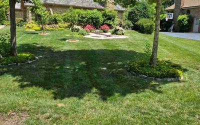 Photo of Jennifer H.'s yard after getting lawn care in Spanaway, WA
