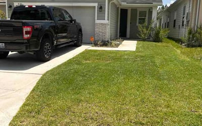 Photo of Lynore W.'s yard after getting lawn care in Lacey, WA