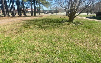 Photo of Joshua M.'s yard after getting lawn care in Advance, NC