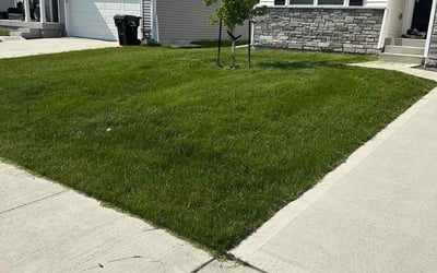 Photo of Heather B.'s yard after getting lawn care in Butler, PA