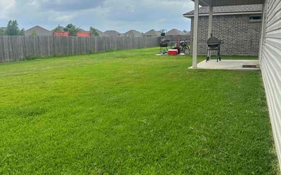 Photo of Leslie B.'s yard after getting lawn care in Lake Charles, LA