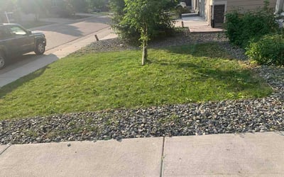 Photo of Julieta G.'s yard after getting lawn care in Golden, CO