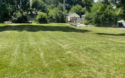 Photo of Kellie C.'s yard after getting lawn care in Downers Grove, IL