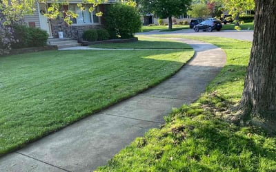 Photo of Charles R G.'s yard after getting lawn care in Munster, IN